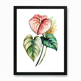 Anthurium Flower 1 Poster