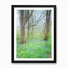 Clearing In A Bluebell Wood Art Print