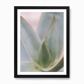 Botanic Swirl Art Print