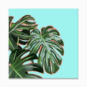 Monstera Square Canvas Print
