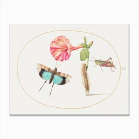 Grasshoppers And A Caterpillar With A Four O Clock Flower (1575–1580), Joris Hoefnagel Toile