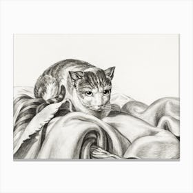 Cat Sitting In A Basket, Jean Bernard Canvas Print