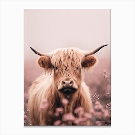 Pink Photography Style Of Highland Cow In The Rain 3 Leinwandbild