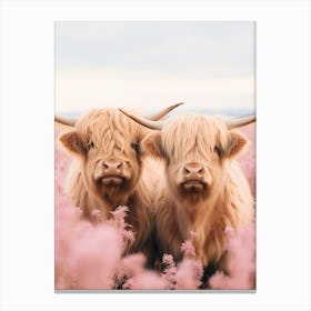 Two Highland Cows Behind The Pink Flowers Leinwandbild