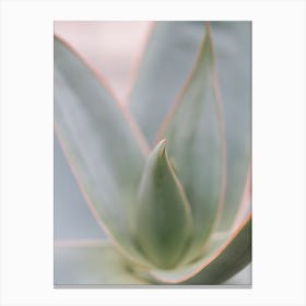 Botanic Swirl Canvas Print