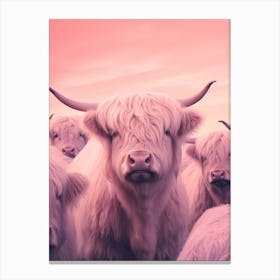 Herd Of Highland Cow Cattle Gradient 2 Leinwandbild