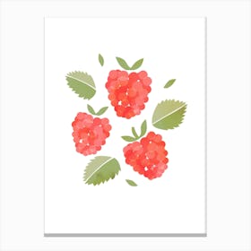 Raspberry Fruit Colourful Food Kitchen Art Nursery Wall Canvas Print