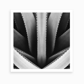 Stuck In The Middle Bw Art Print