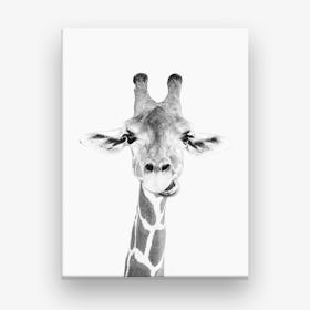 Happy Giraffe Leinwandbild